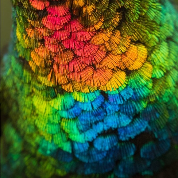 Meet your Posher, Sherri - Picture 2 of 2